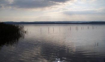 Blick auf den Galenbecker See