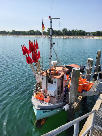 Ein typischer Fischkutter in Boltenhagen