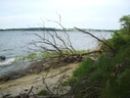 Eindrücke von der Insel Vilm